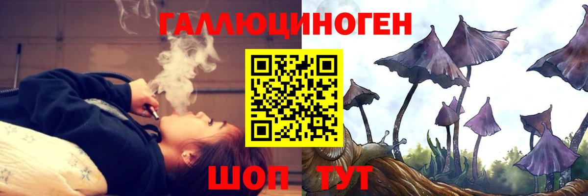 Псилоцибиновые грибы Psilocybe  Псилоцибиновые грибы прущие грибы  Чапаевск  Вход с VPN 